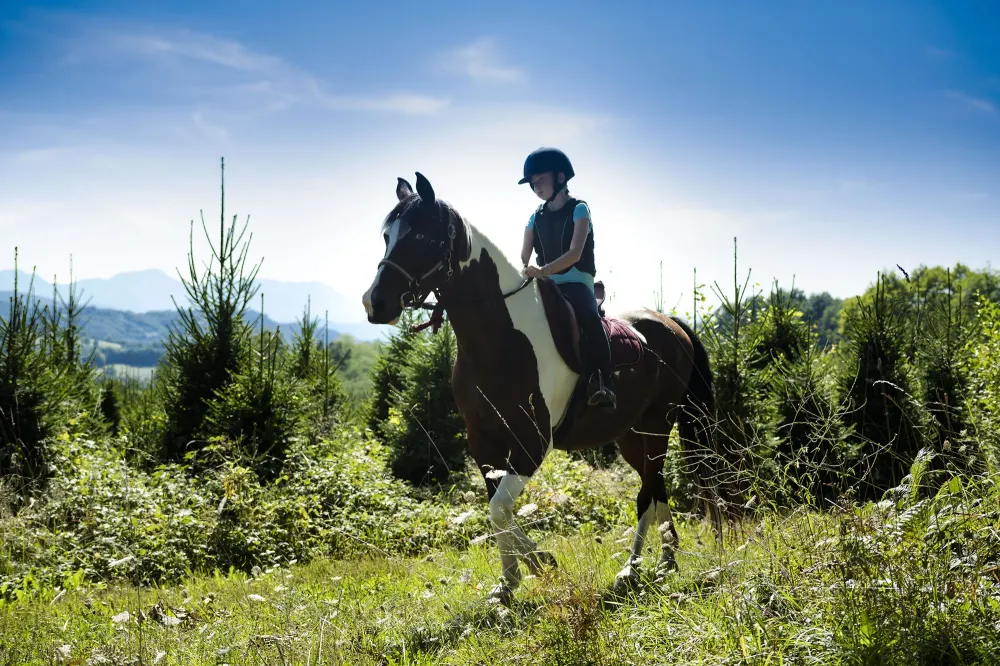 Centre équestre à Montjoie-en-Couserans