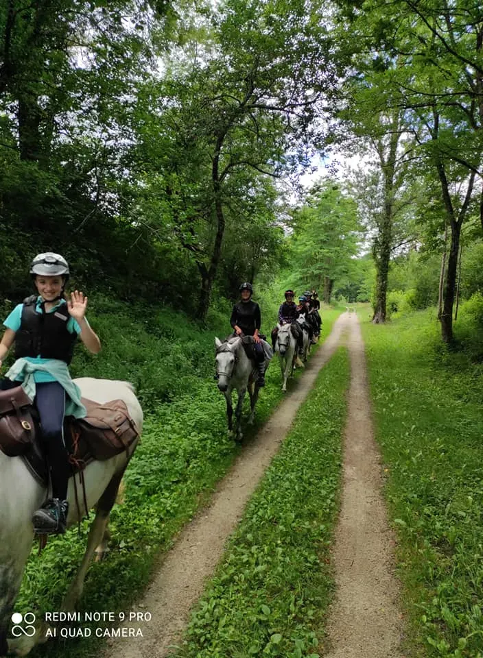 apprendre-et-progresser